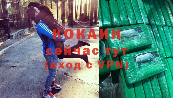 шишки Кукмор