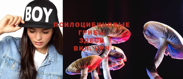 кокс Кулебаки