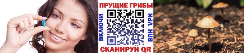 Галлюциногенные грибы прущие грибы Красноперекопск