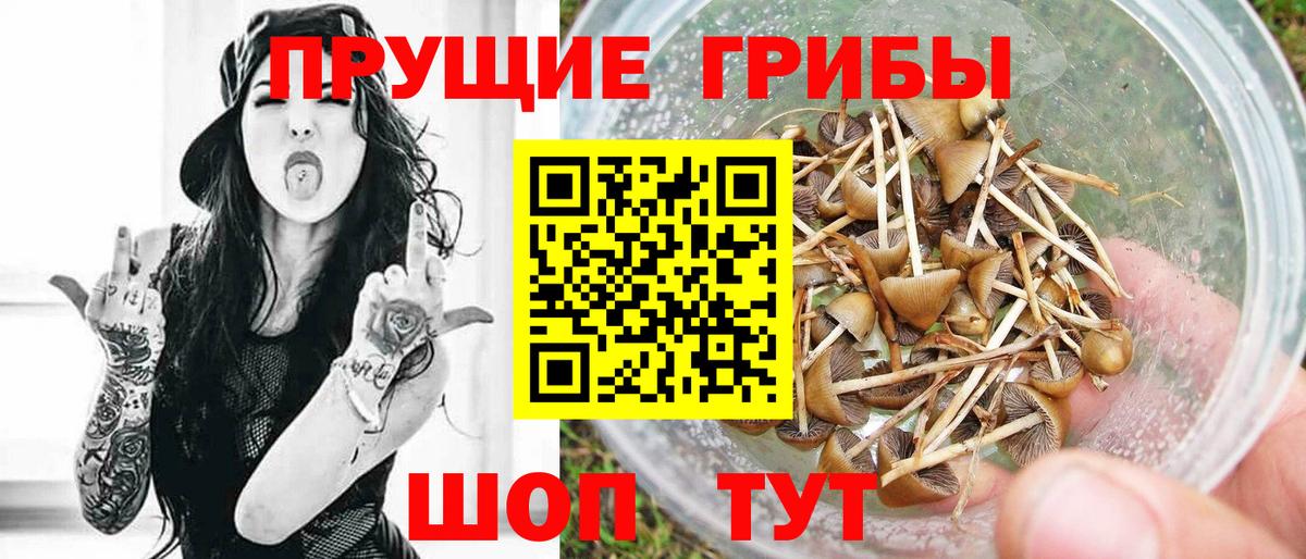 Красноперекопск  Галлюциногенные грибы мухоморы  Вход с VPN  Галлюциногенные грибы мухоморы 