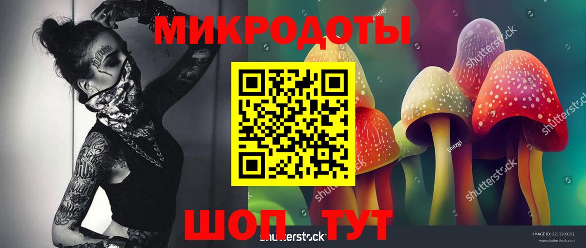 Псилоцибиновые грибы прущие грибы Красноперекопск